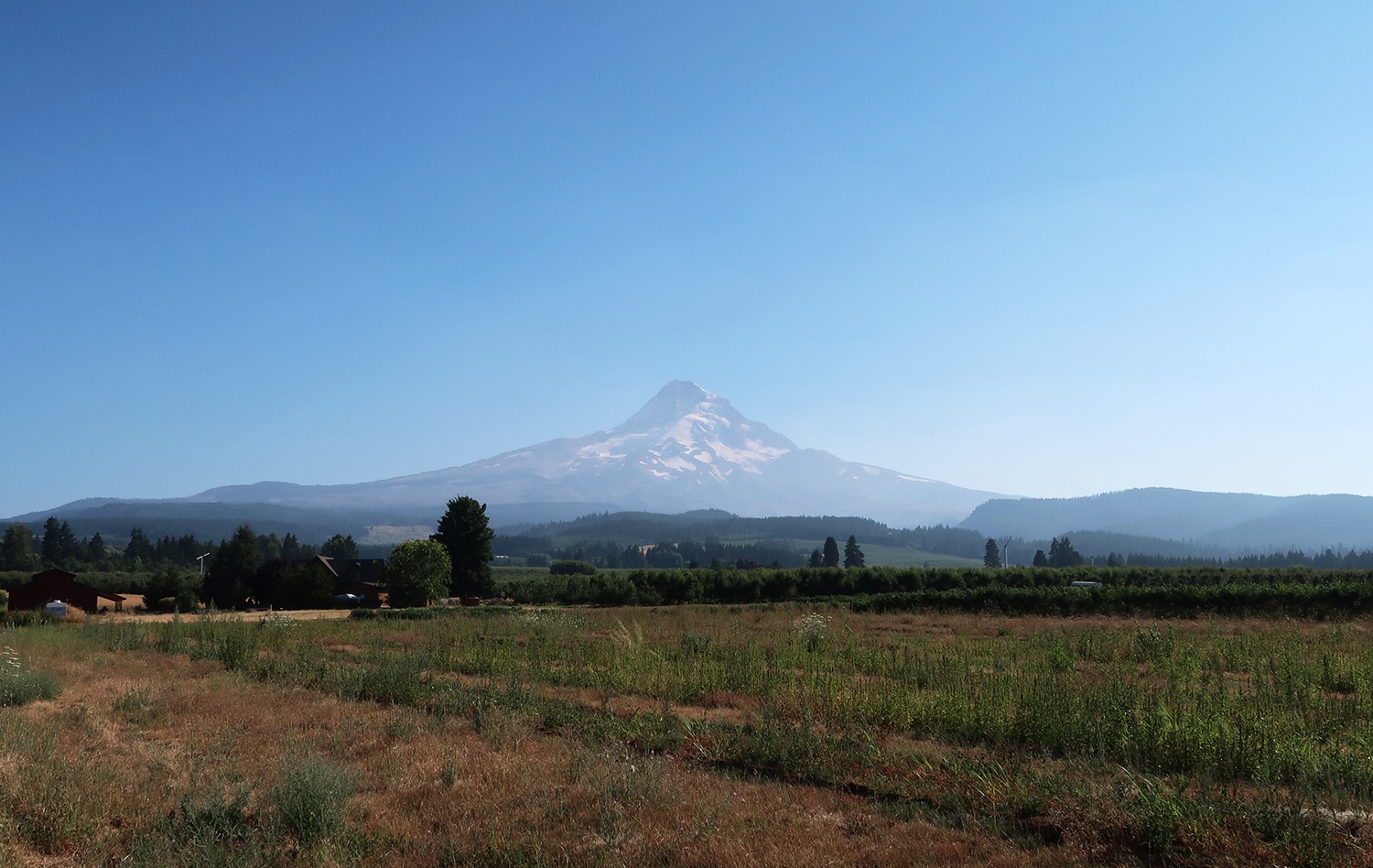 mt. hood