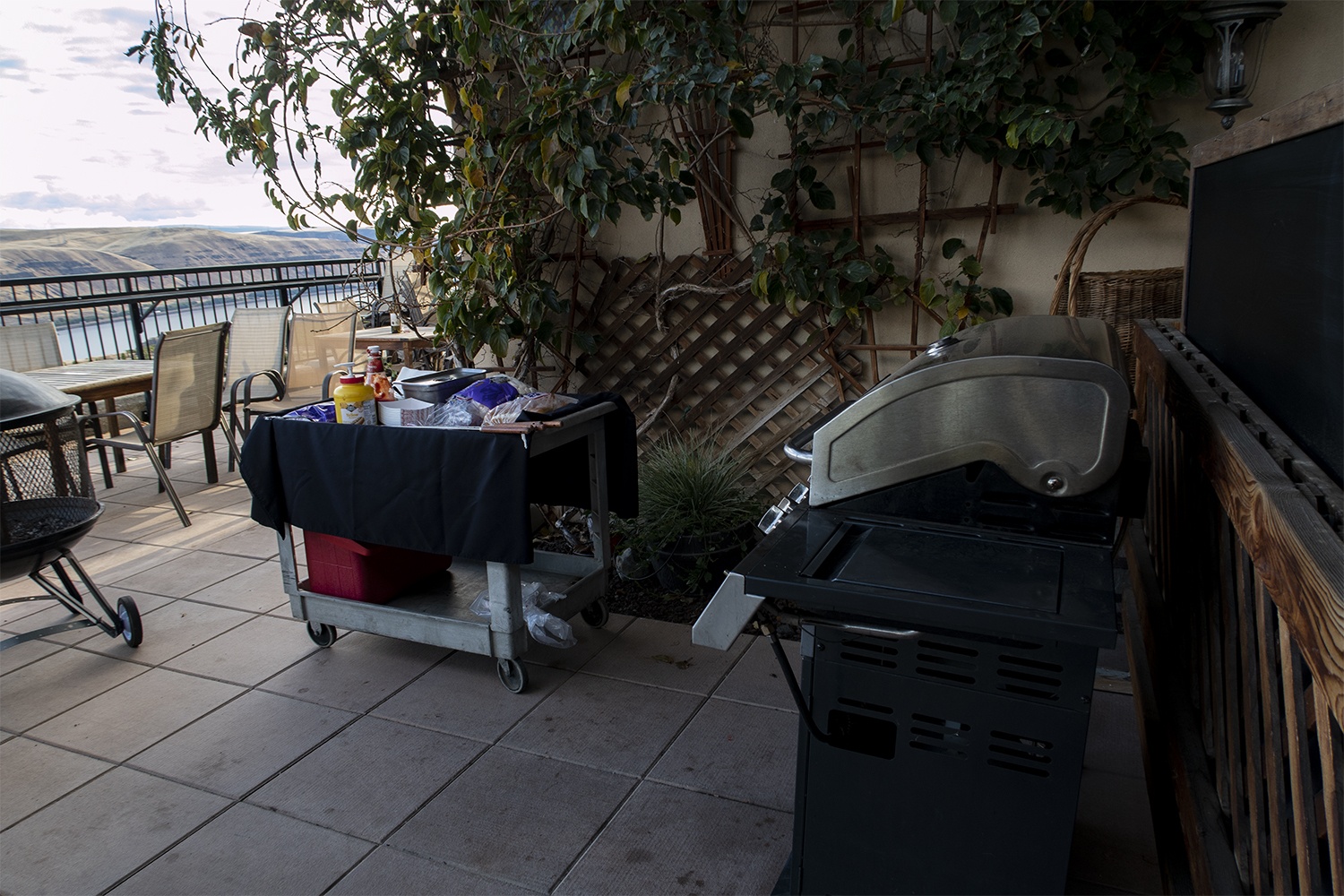 bbq on patio