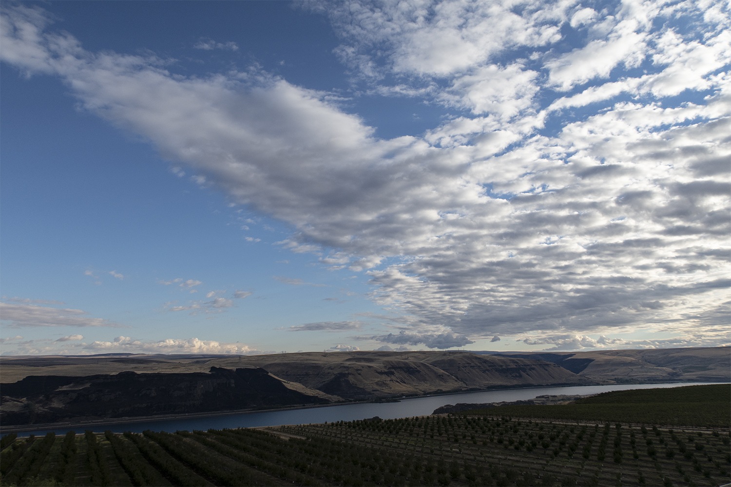view of the gorge from maryhill winery