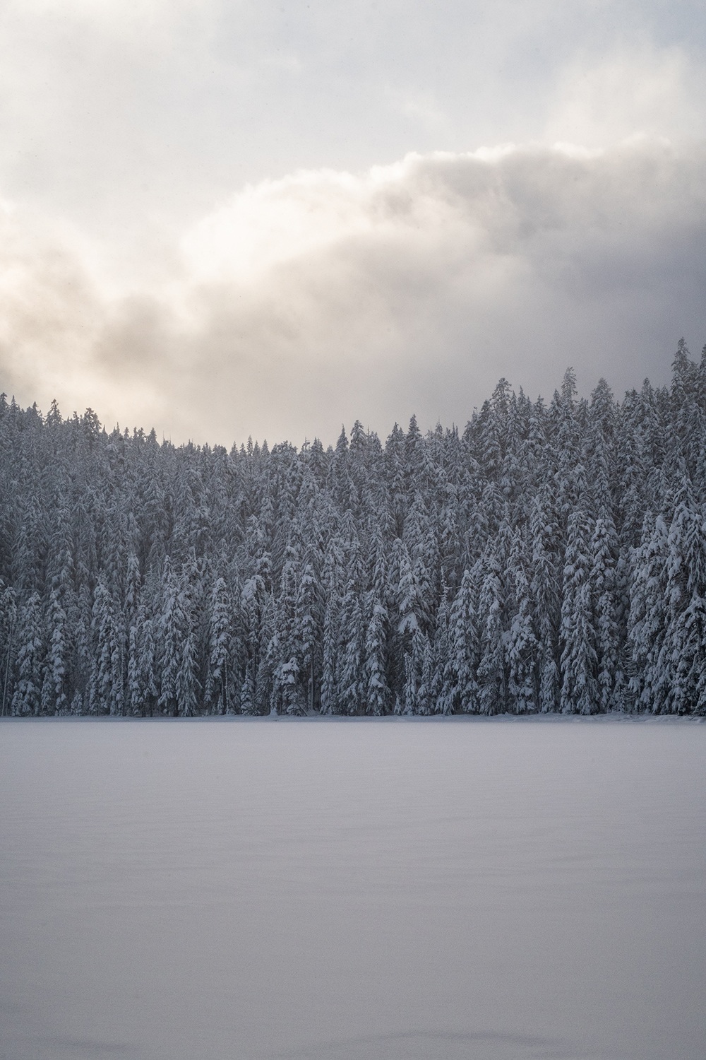 Three places to snowshoe on mt. hood this winter, lower twin lake covered in snow