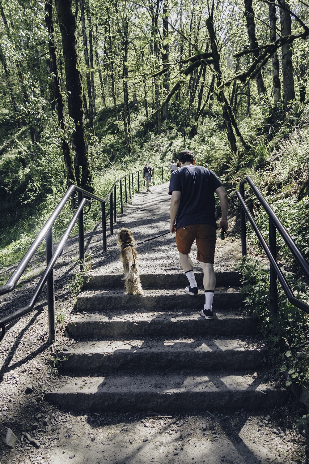 man and dog on trail