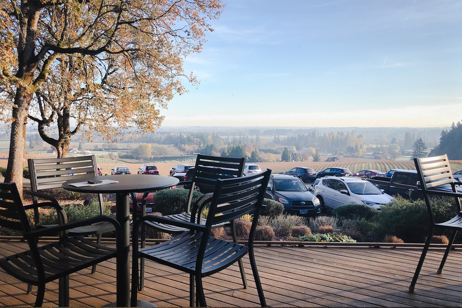 outdoor seating at sokol blosser