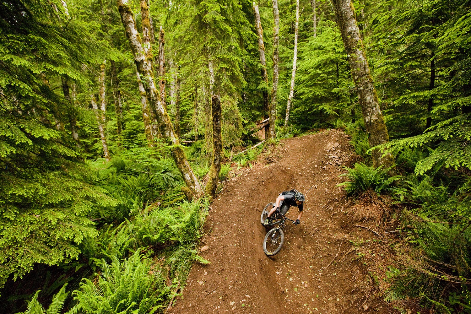 mountain biker riding through the sandy ridge trail system
