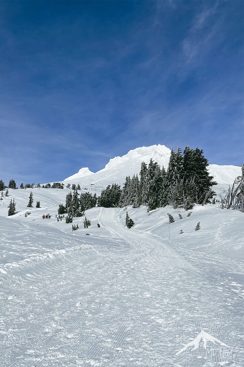 View of Mt. Hood covered in snow from snowshoeing trail