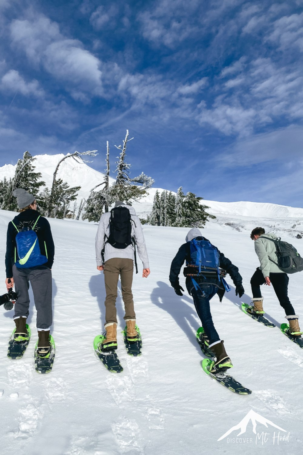 mt hood snowshoeing tours