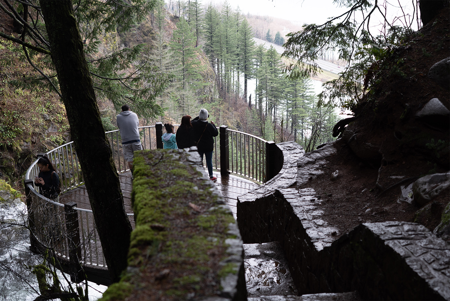 viewpoint from the top of multnomah falls