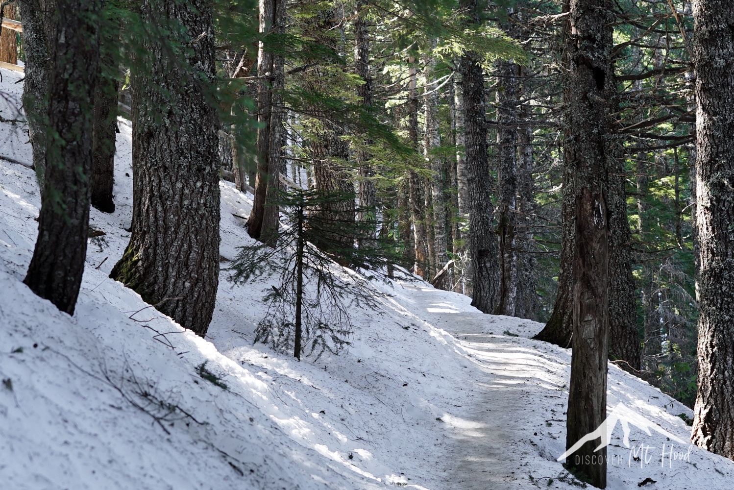 Snowy trail to mirror lake