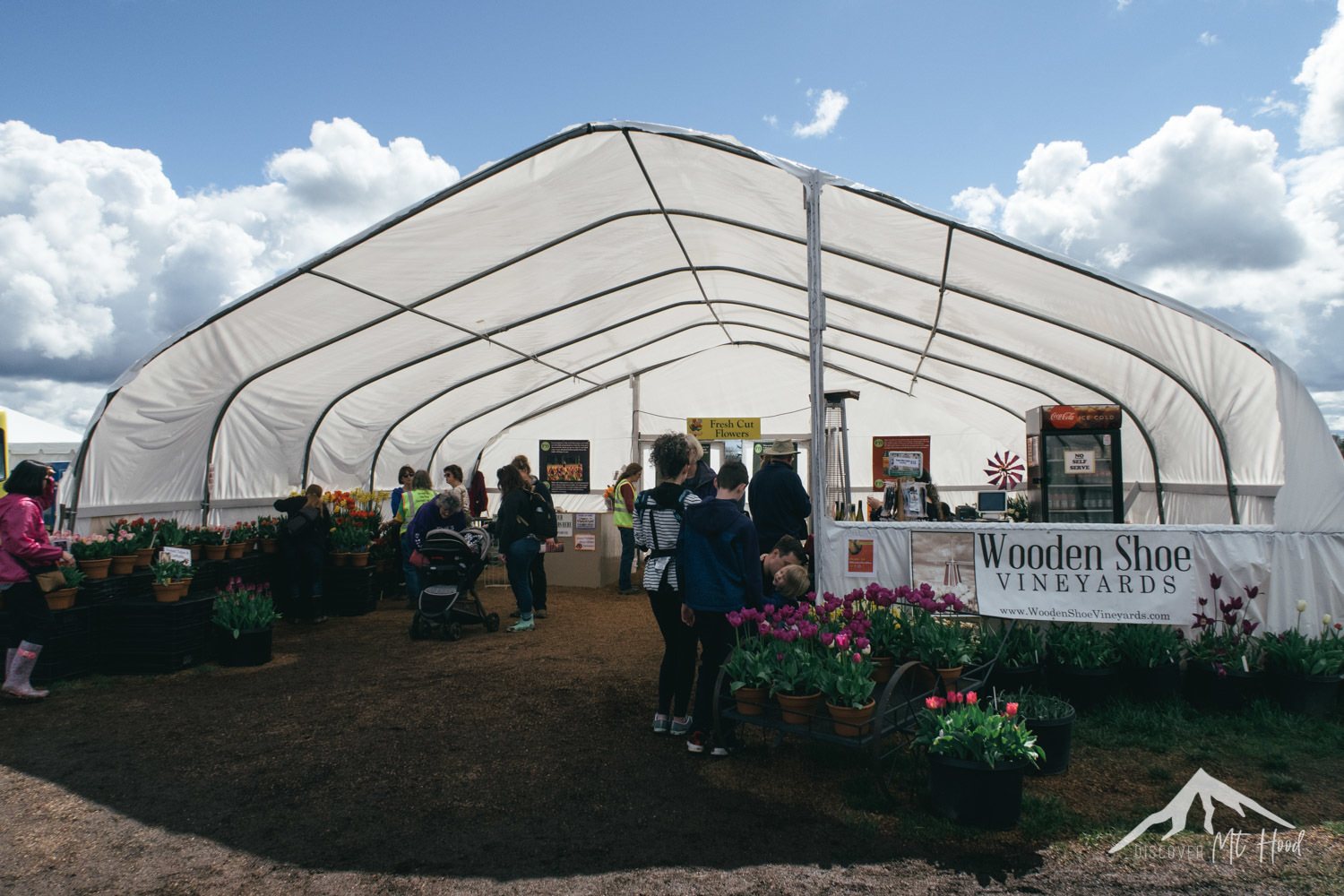 Tent at the tulip festival where you can buy potted tulips