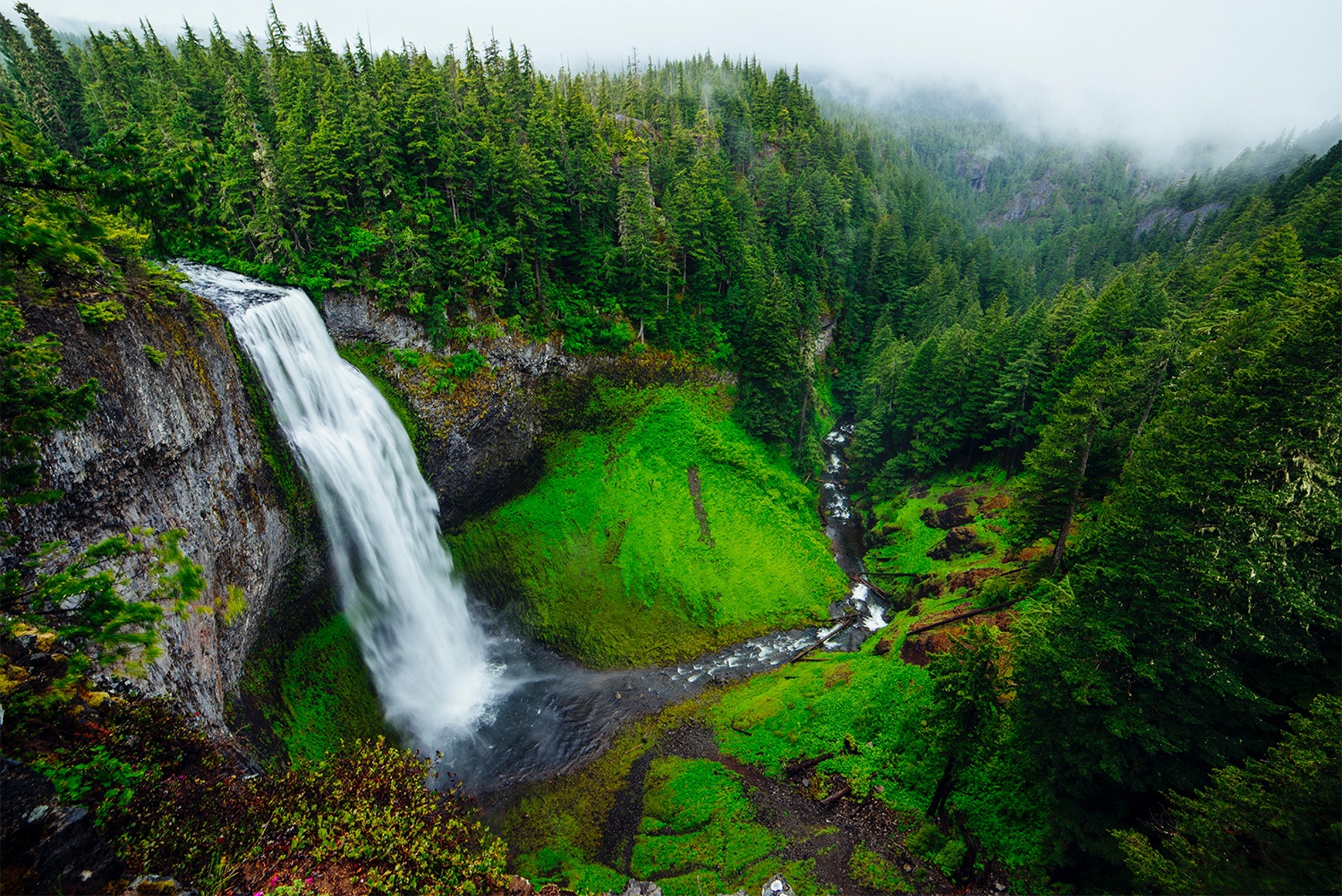 Salt Creek Falls